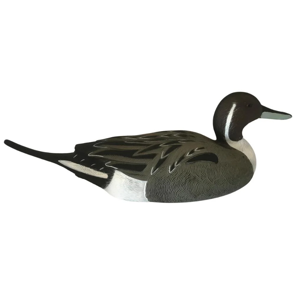 Pintail Duck Decoys Full Body HD Decoys - Image 13