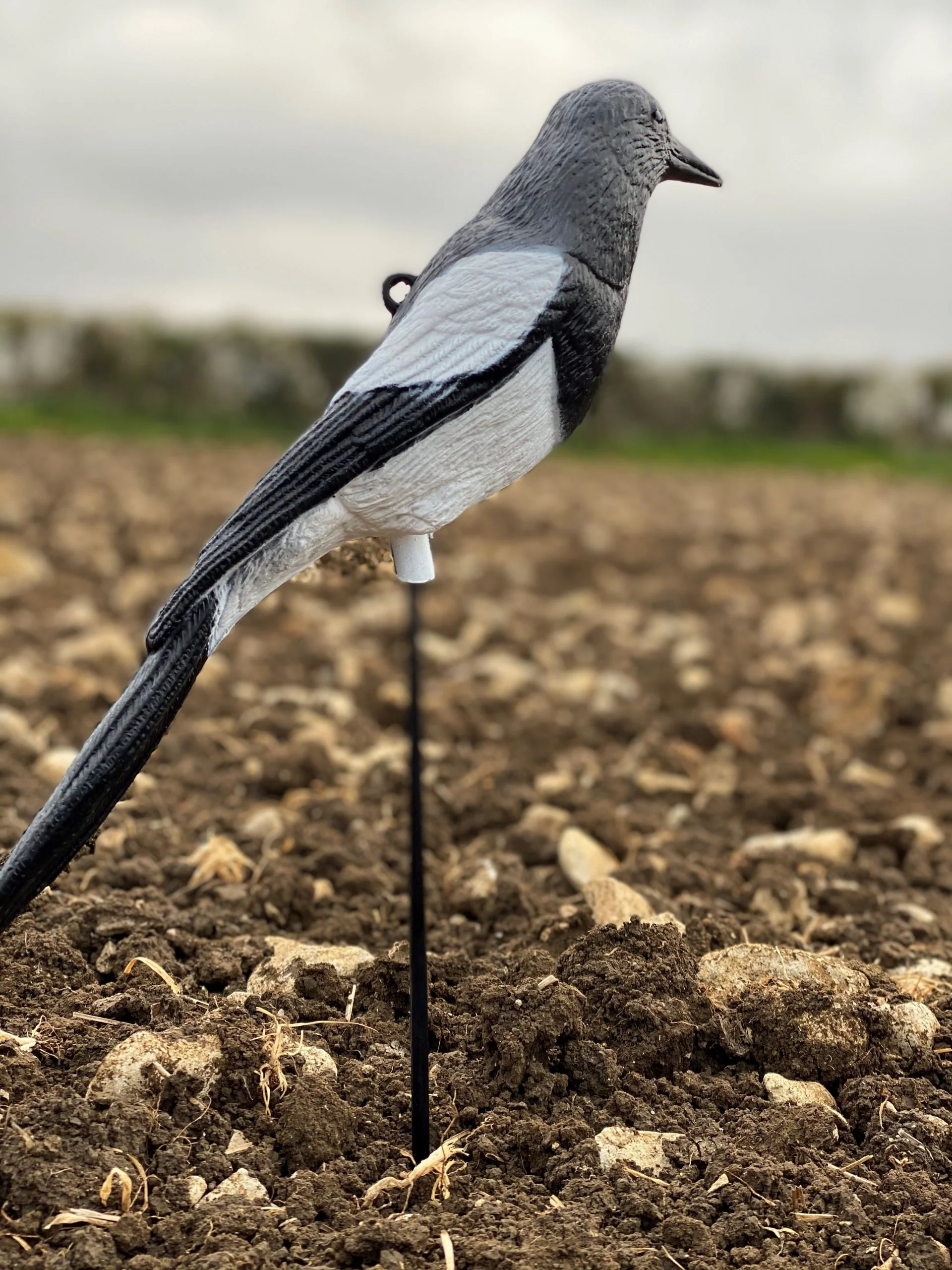 Plastic Magpie Decoys - Image 6