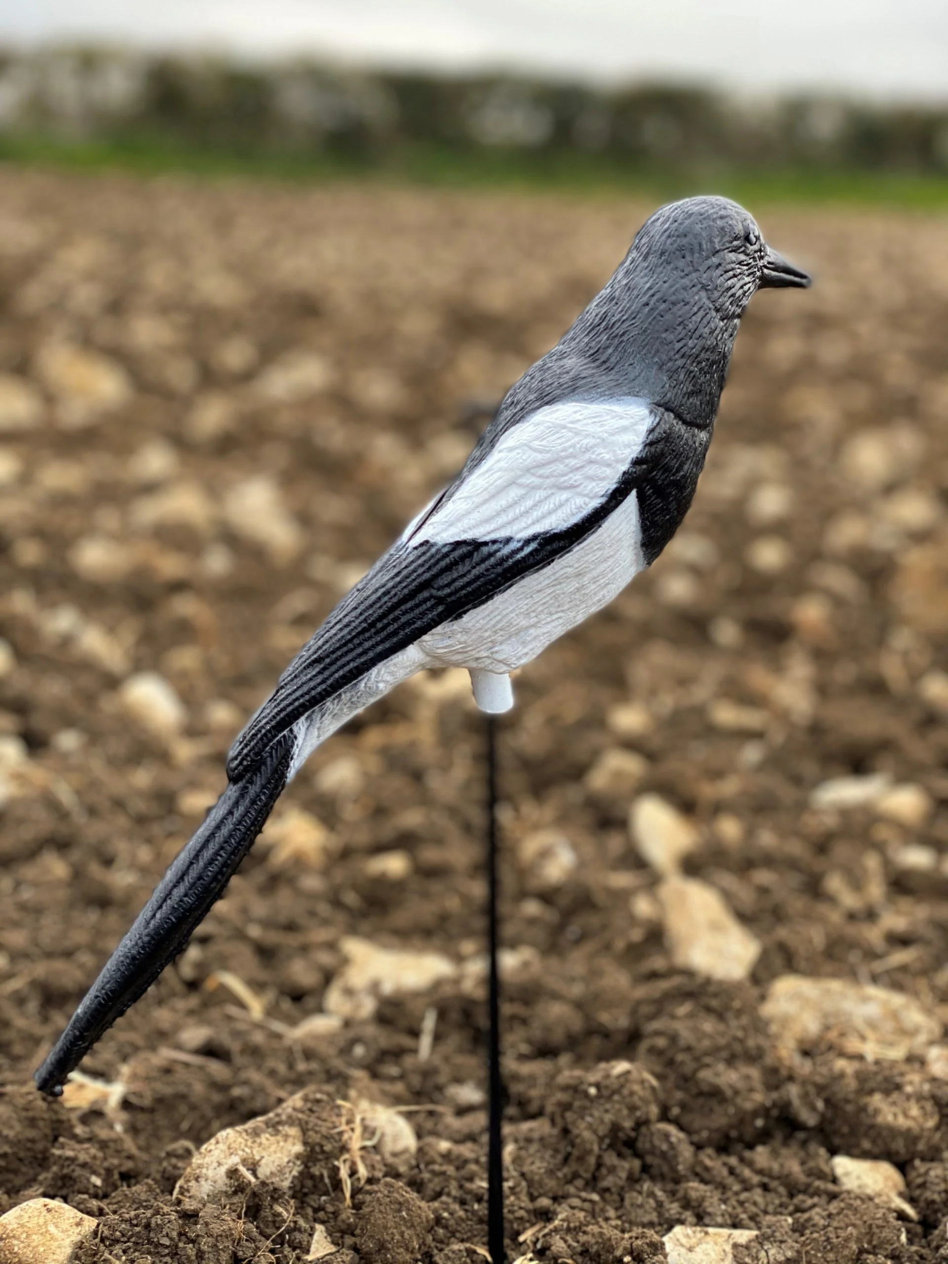 Plastic Magpie Decoys - Image 7