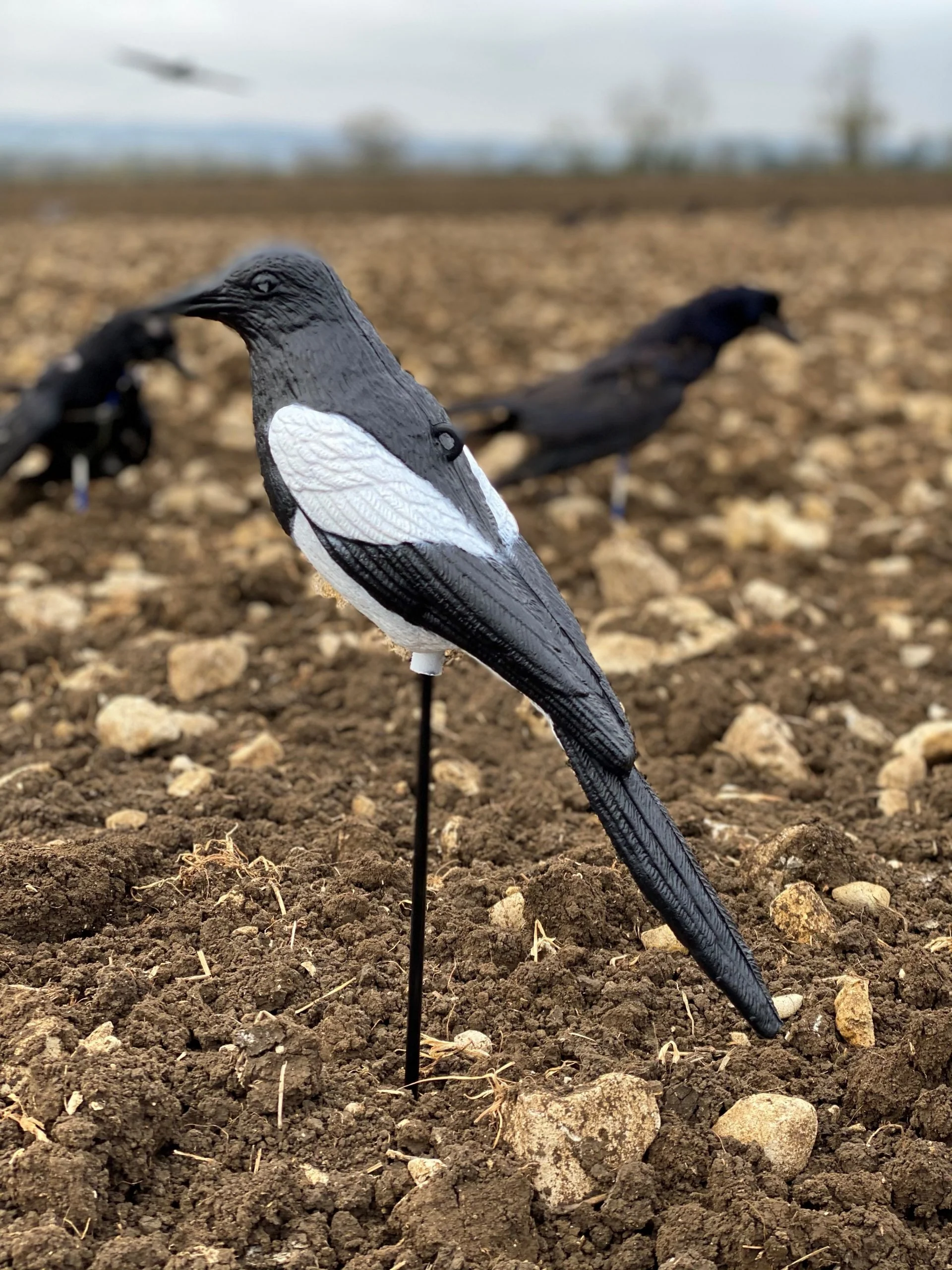 Plastic Magpie Decoys - Image 8