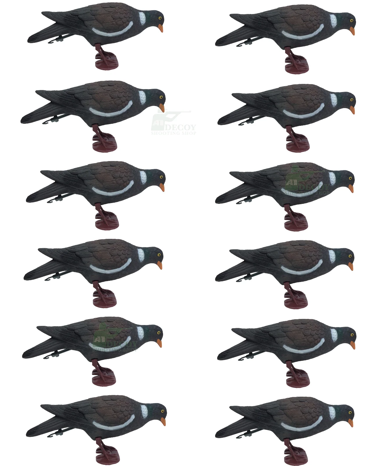 PLASTIC PIGEON FULL BODIED - Image 6