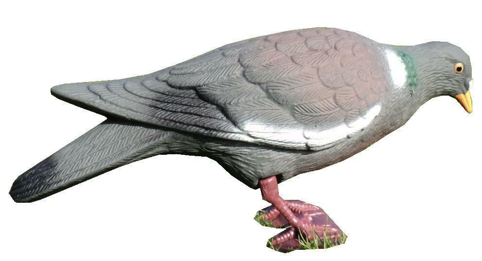 PLASTIC PIGEON FULL BODIED - Image 8