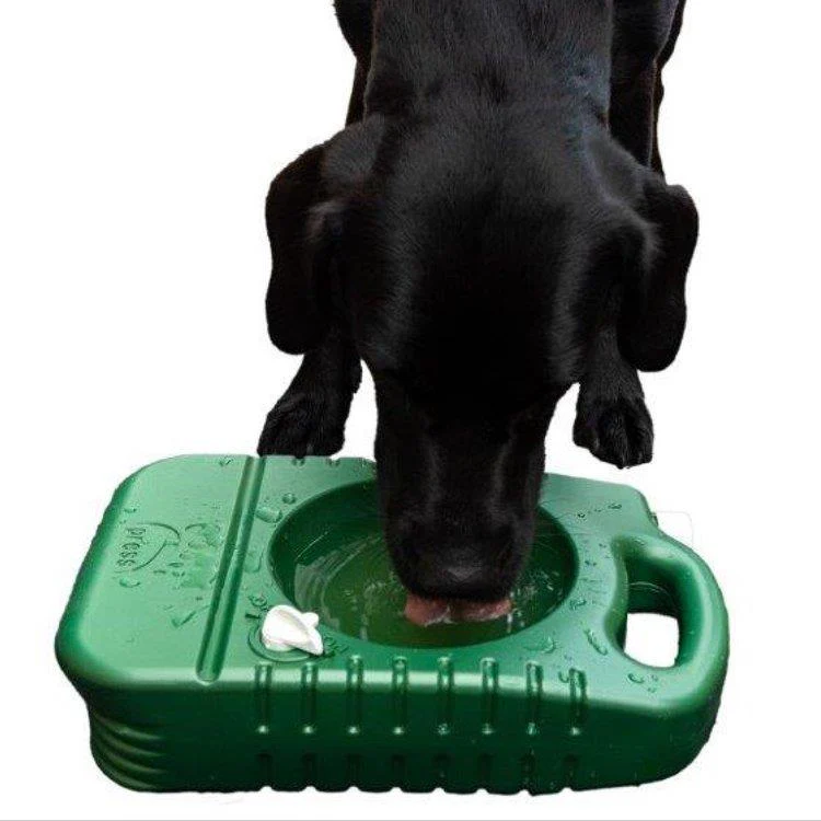 Porta-Bowl Dog Water Bowl - Image 4