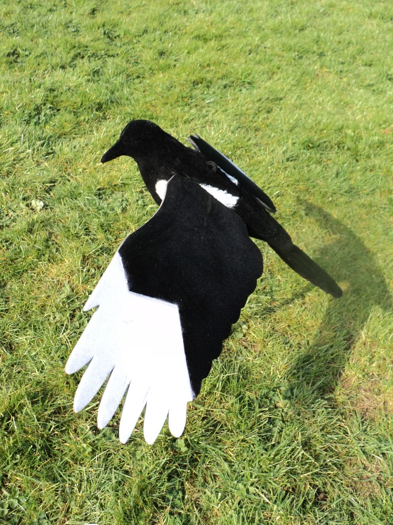 Premium Flocked Winged Magpie Decoy - Image 2