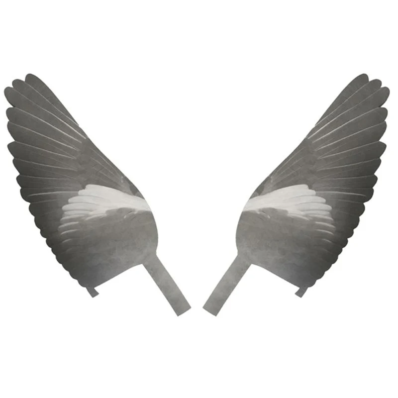 PRO-FLAP DECOY REPLACEMENT WINGS - Image 2