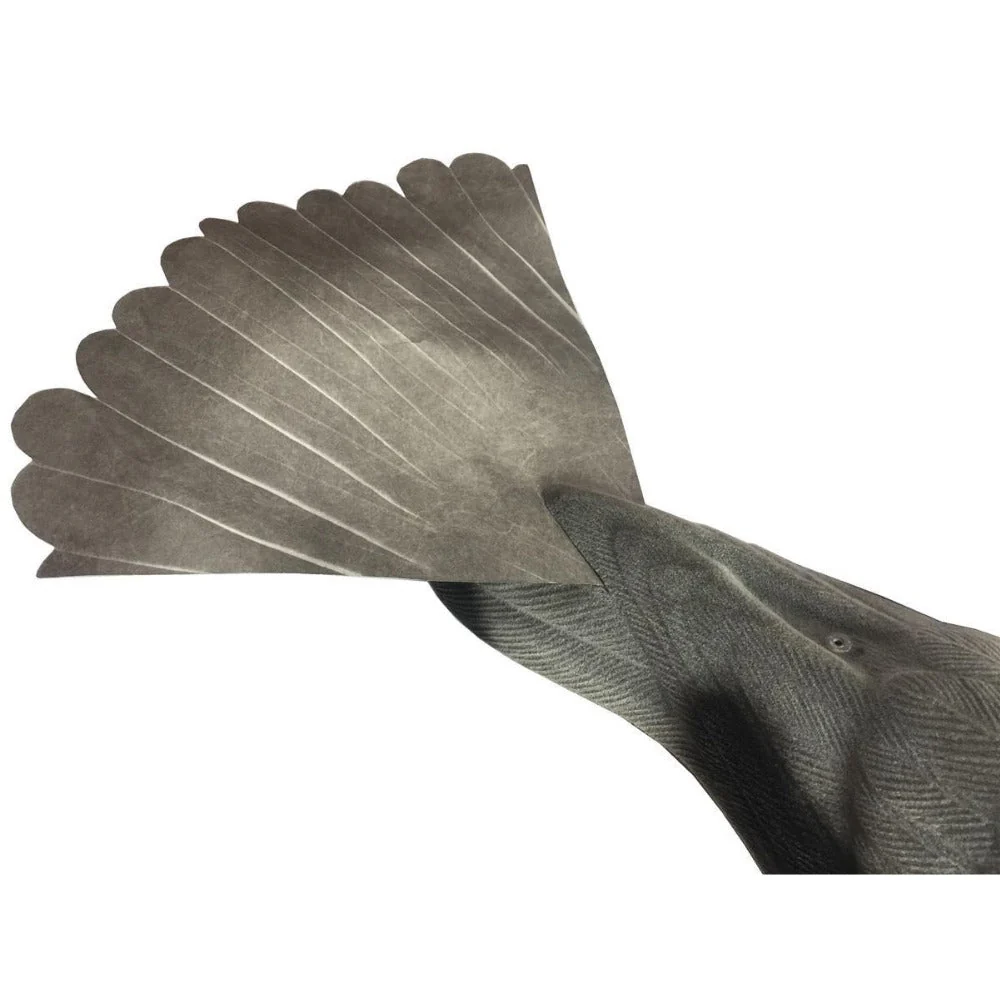 PROFLAP DECOY TAIL REPLACEMENT X 2 - Image 2