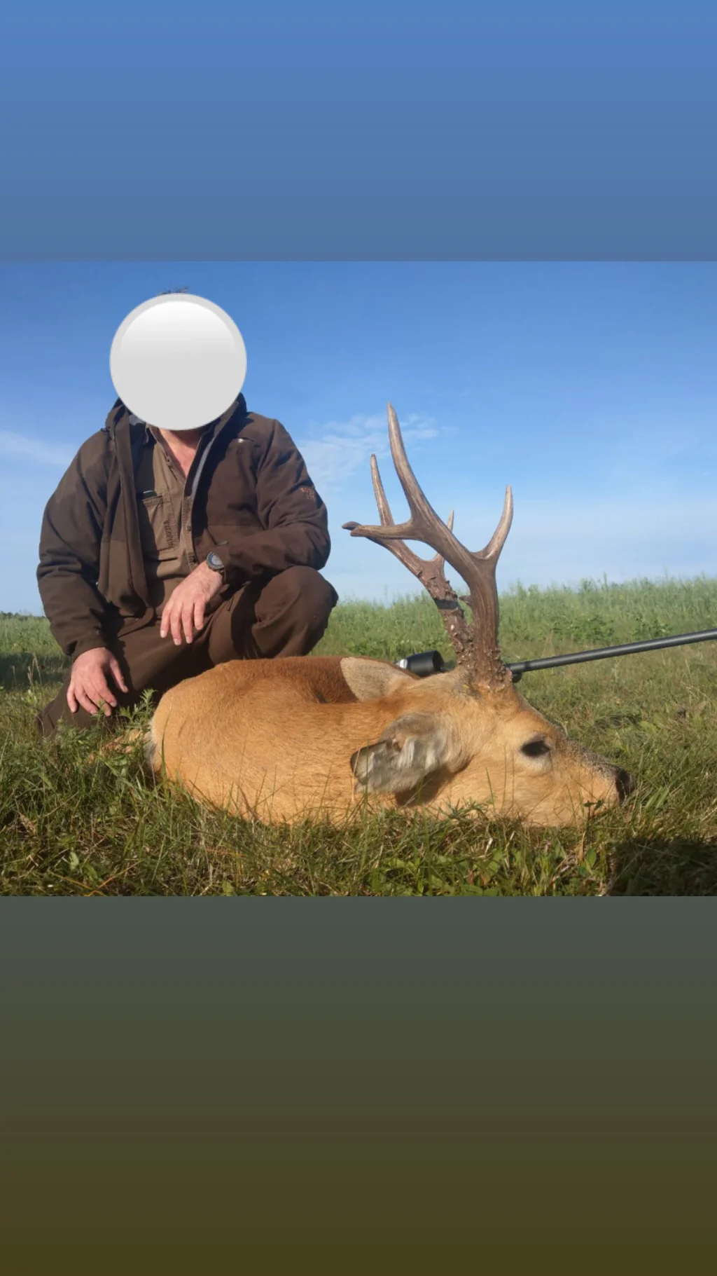Siberian Roe Deer Trip to Russia New and Improved Prices! - Image 10
