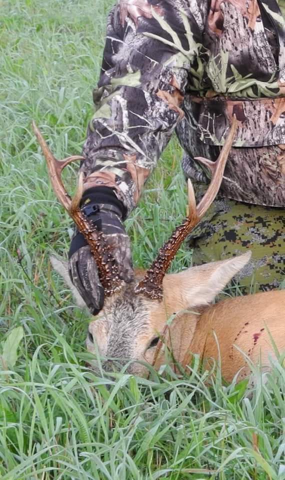 Siberian Roe Deer Trip to Russia New and Improved Prices! - Image 6