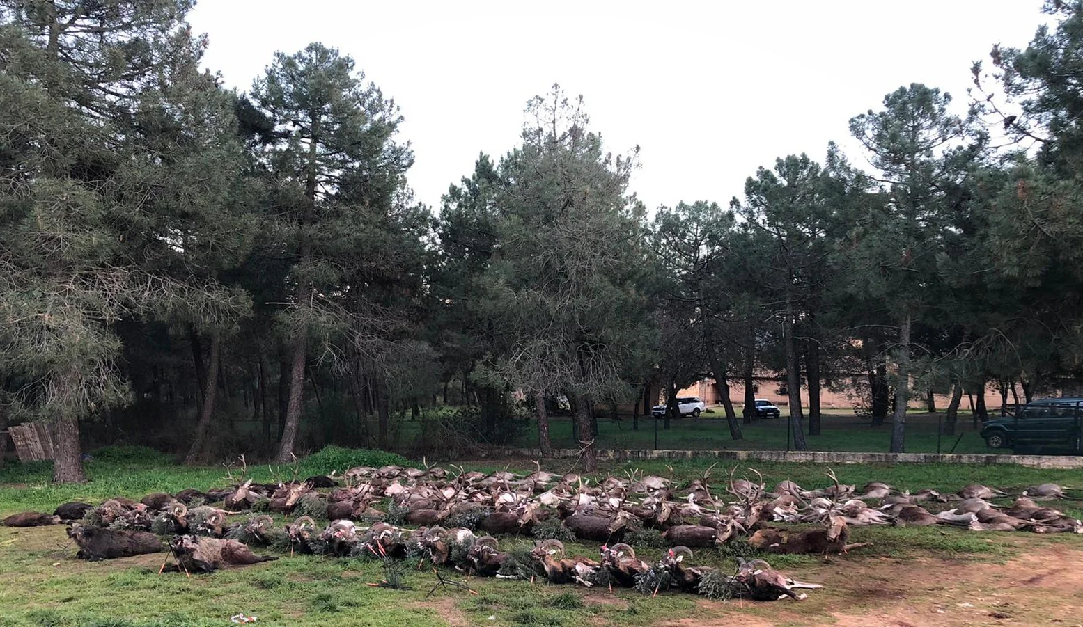 SPANISH MONTERIA October 29th-31st 2026 - Image 6