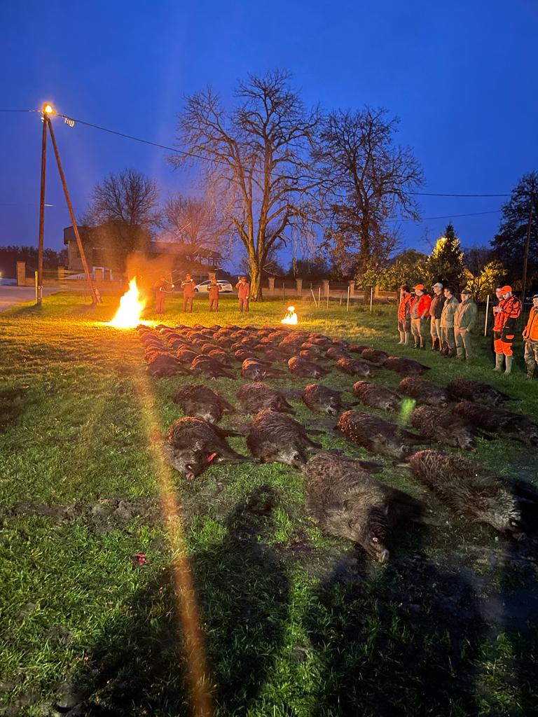THE ULTIMATE LUXURY WILD BOAR HUNTING EXPERIENCE CROATIA - Image 4