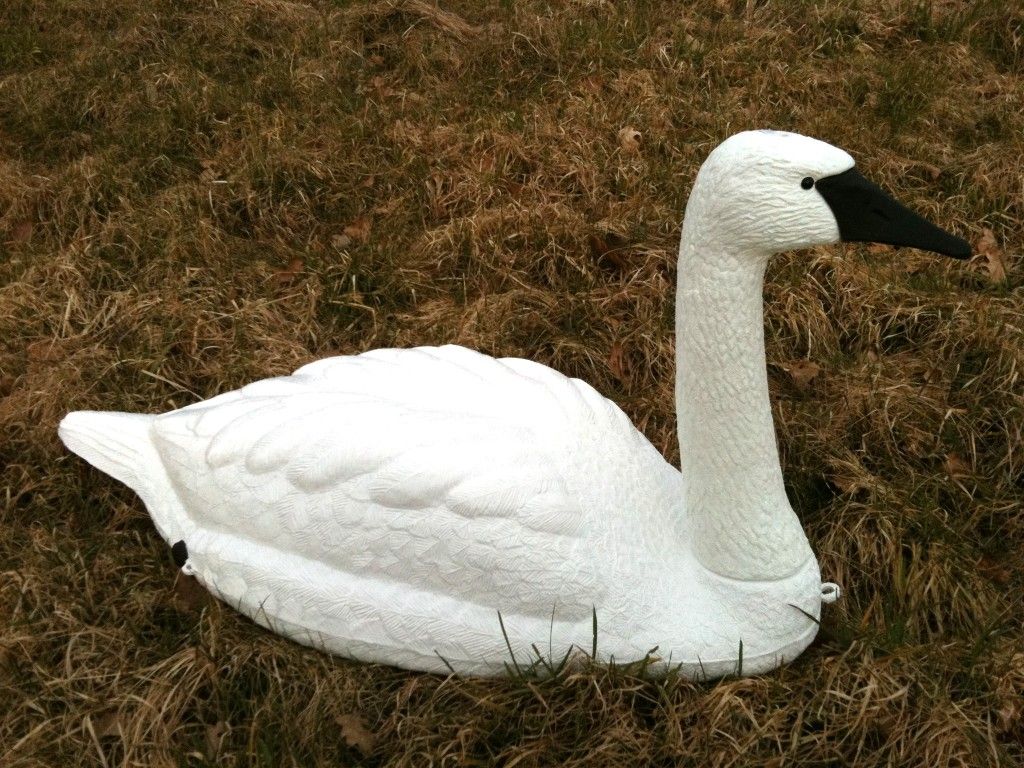 Trumpeter Black Beak Swan Decoy Full Size Floating Swan - Image 2