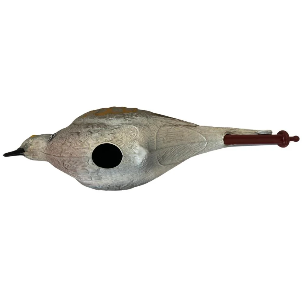 Turtle Dove Decoys Plastic - Image 5