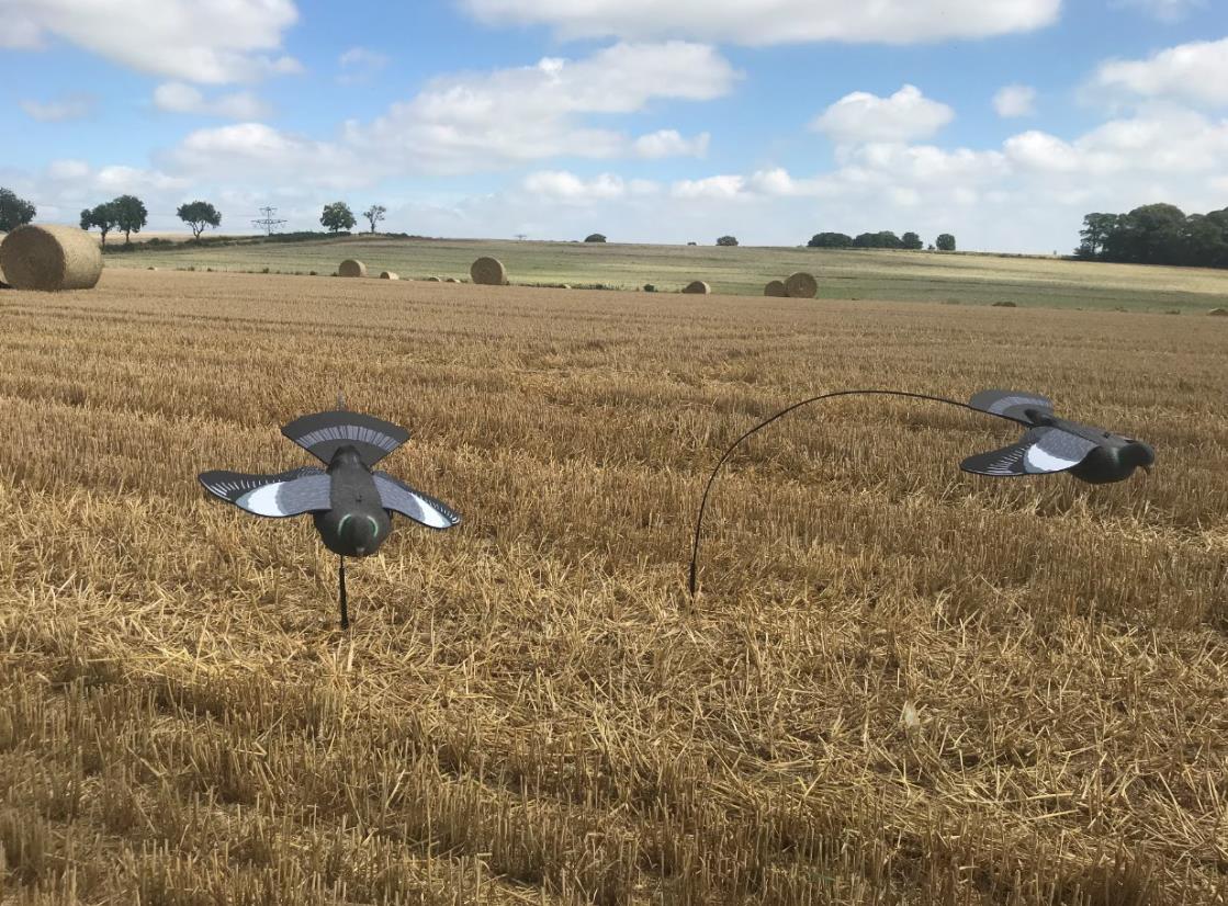 ULTIMATE PIGEON DECOY KIT - Image 5