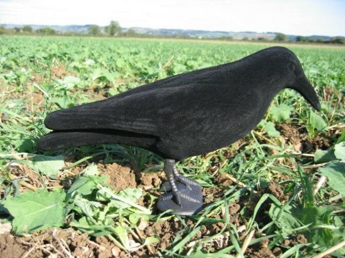 Whole Body Flocked Crow Decoys - Image 5