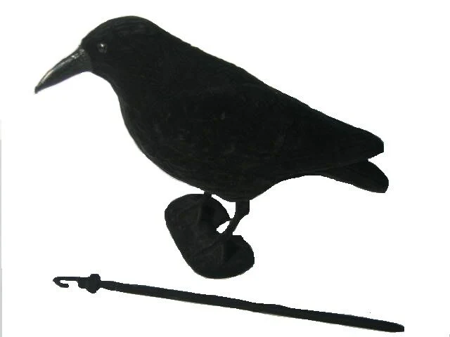 Whole Body Flocked Crow Decoys - Image 9