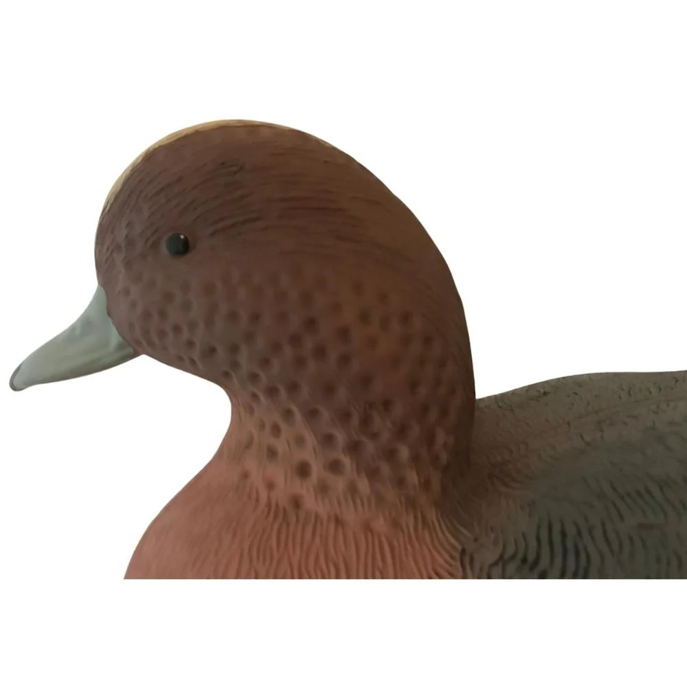 Wigeon Duck Decoy Floating HD Male or Female - Image 12