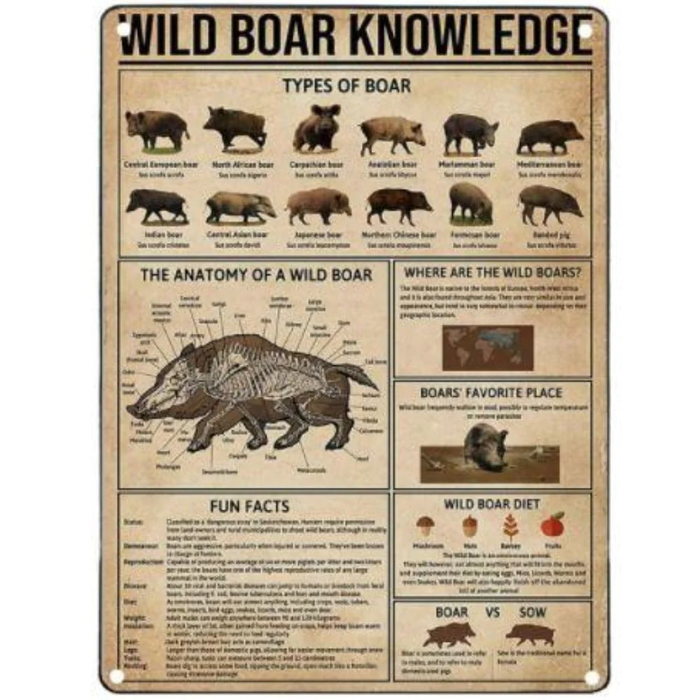 WILD BOAR KNOWLEDGE METAL BOARD - Image 3
